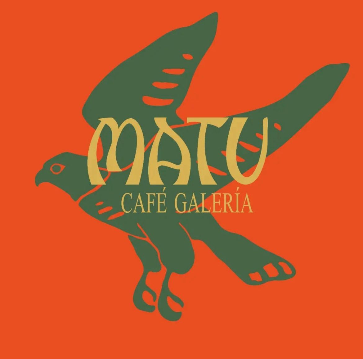 WhatsApp Image 2026-02-05 at 11.12.17